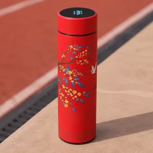 Adorabile borraccia sportiva termica in acciaio inossidabile Thermoflask con display della temperatura
